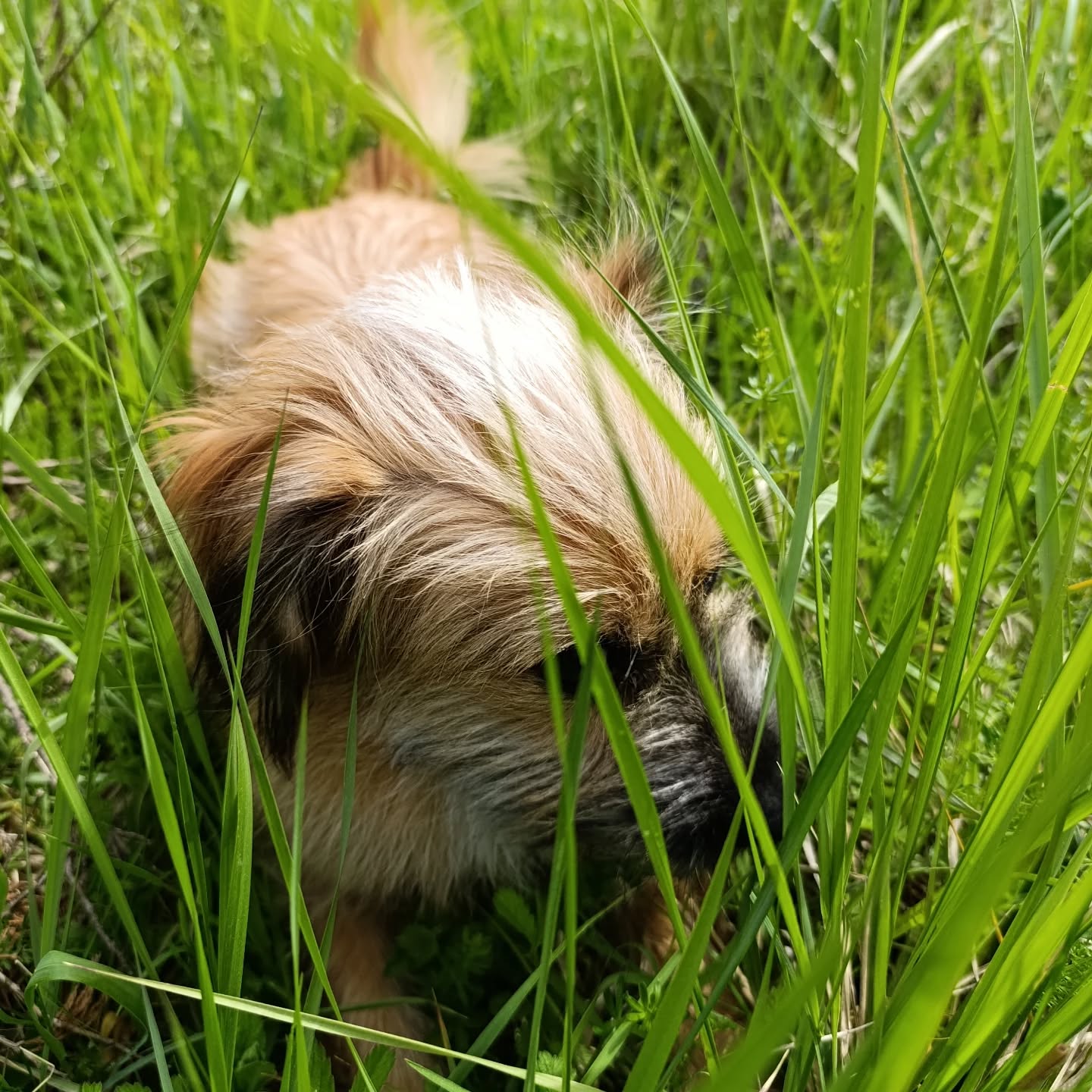 Pospamuję, a co 😄