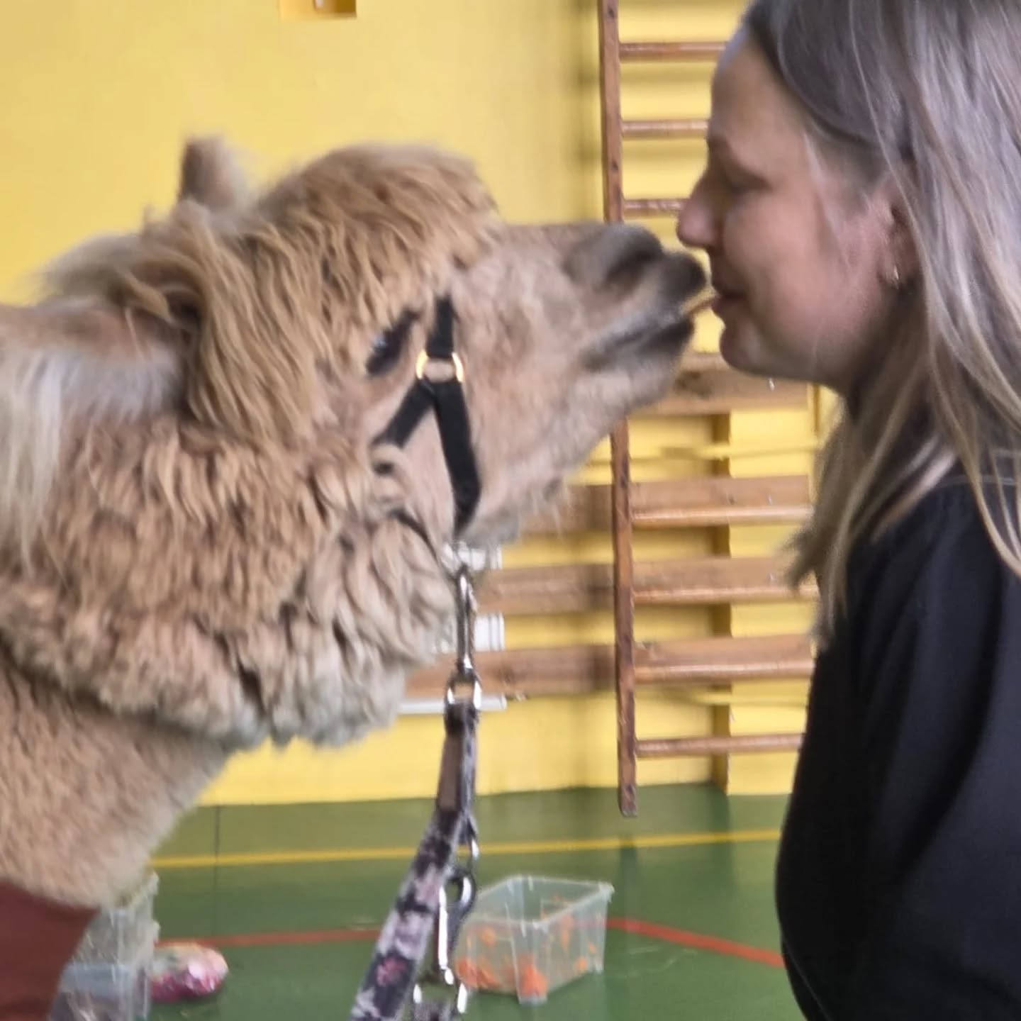 Tymczasem psycholog w pracy 🤣

#pracawszkole #psychologszkolny